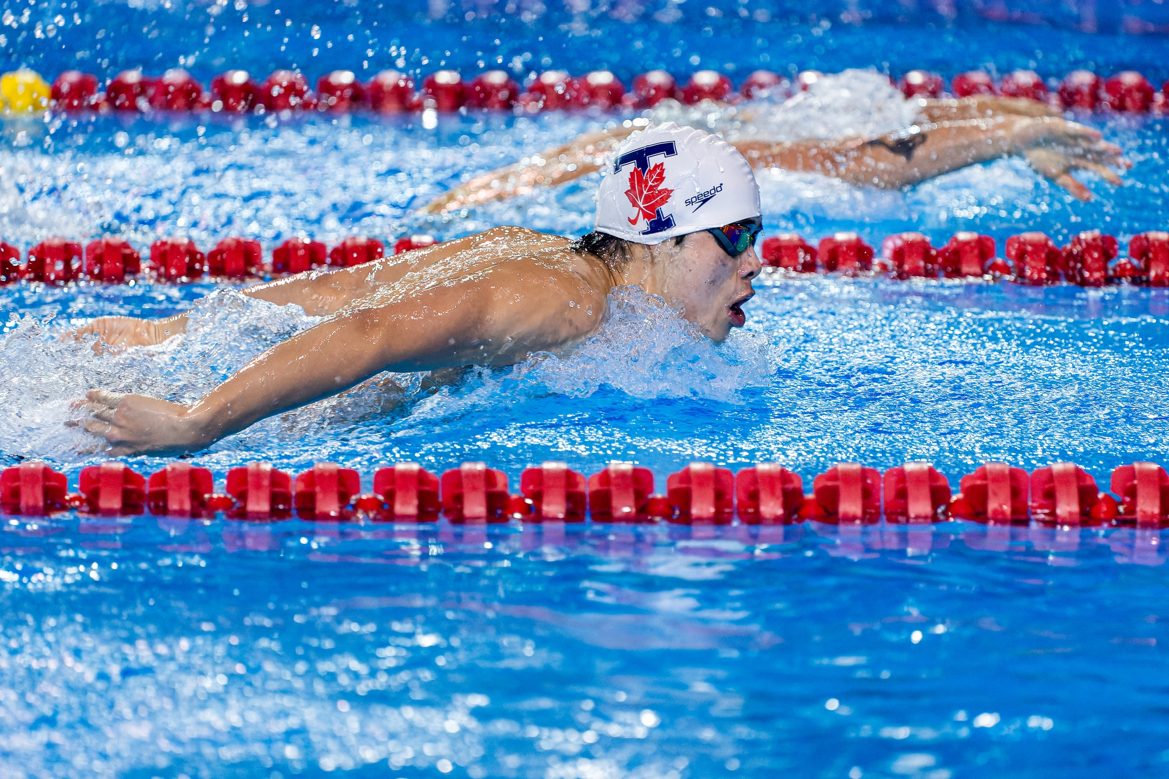 An action photo of Toronto Varsity Blues swimmer Bill Dongfang competing in the pool in the breasstroke category with his head out of the water. 