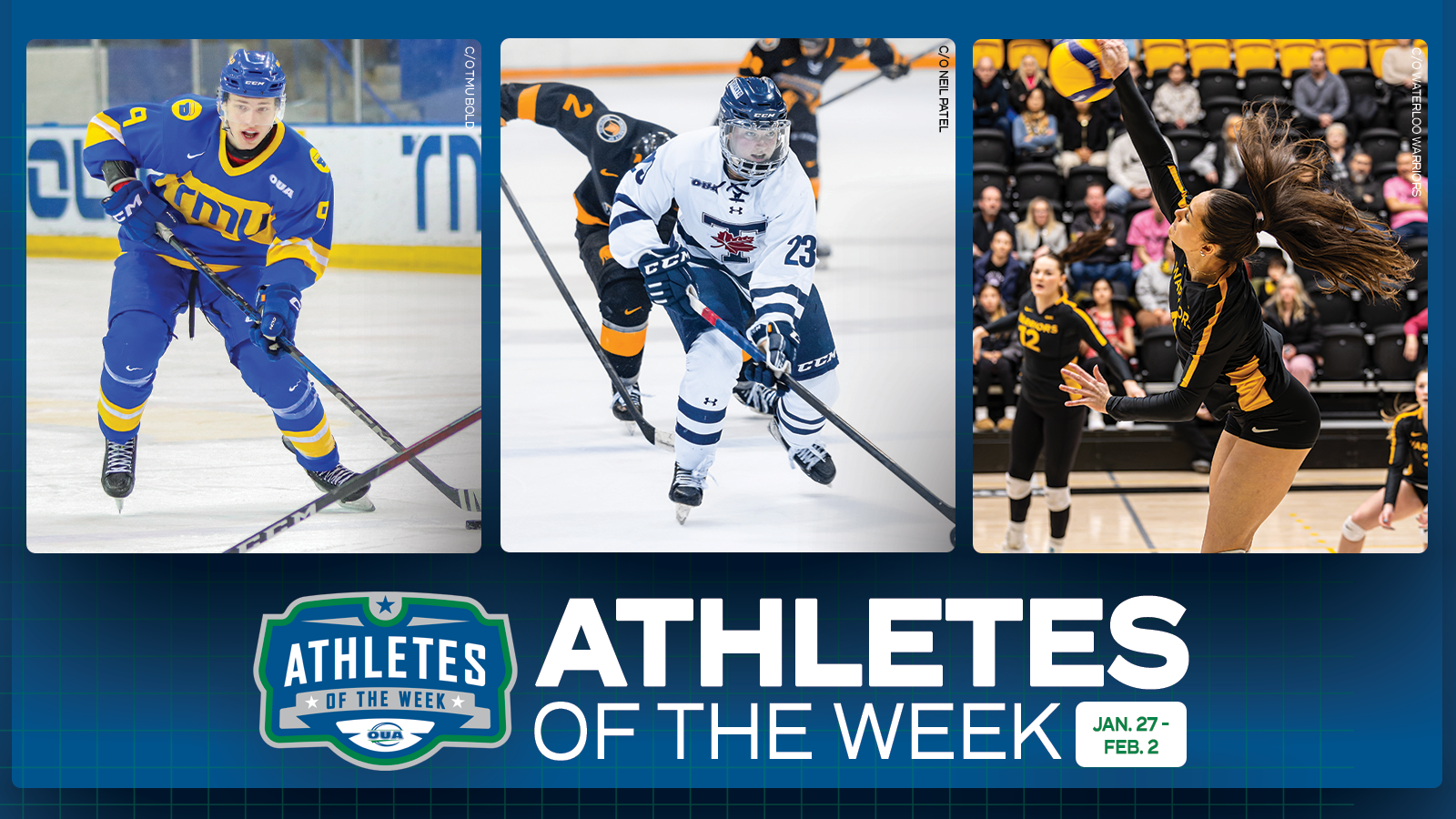 Graphic on predominantly blue background featuring action photo of TMU Bold  Daniil Grigorev, Toronto Varsity Blues Kaitlyn McKnight and Waterloo Warriors Rachael Meilikhan along with the OUA Athletes of the Week logo and large white 'Athletes of the Week' text in the lower third