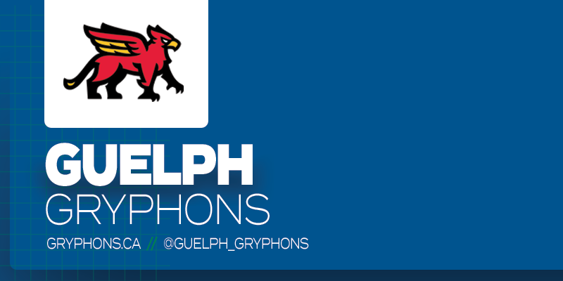 Predominantly blue graphic with York Lions logo on small white rectangle and white text below it that reads 'York Lions'