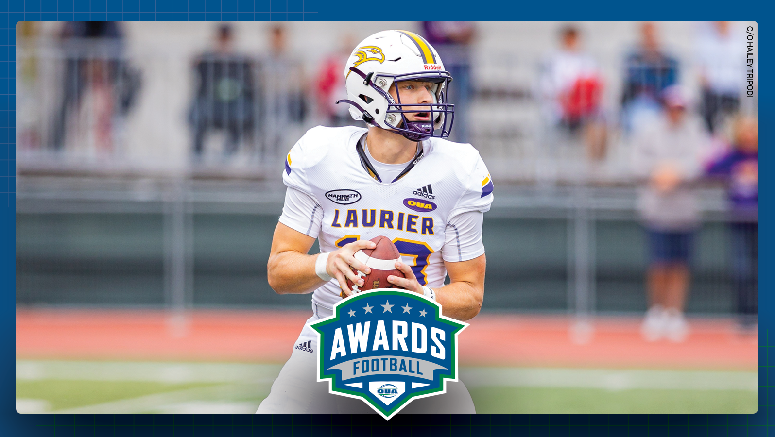 Graphic on predominantly blue background featuring action photo of Laurier football quarterback Taylor Elgersma, as well as the OUA football awards logo centered in the lower third